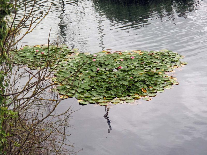 pic18.jpg