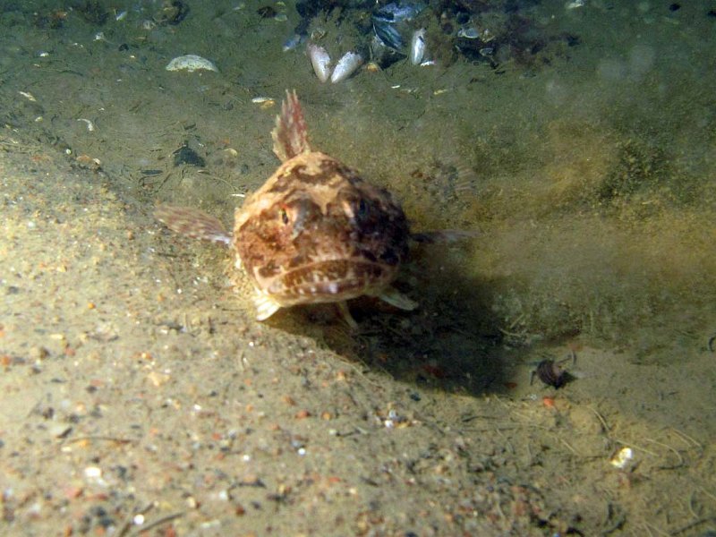 picture18.jpg