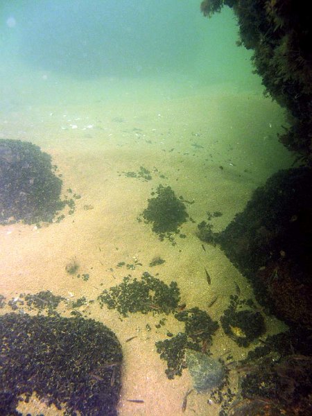 picture23.jpg