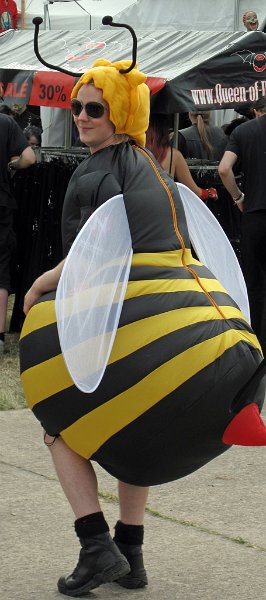 pic14.jpg