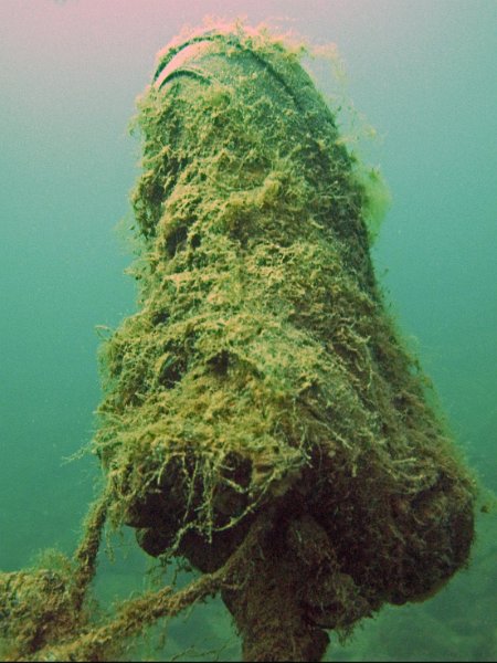 img07.jpg