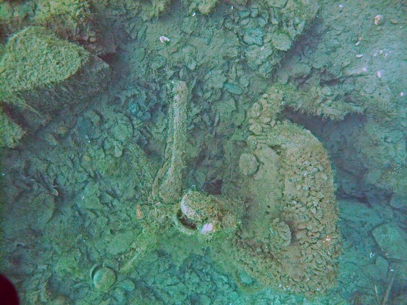 img09.jpg