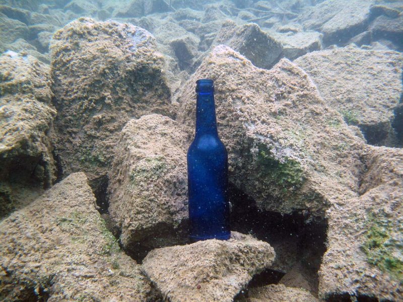img36.jpg