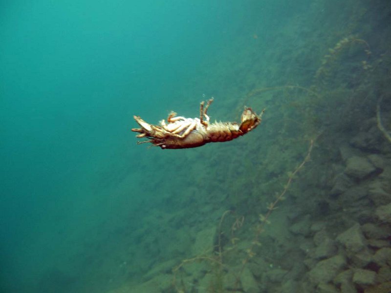 img40.jpg