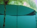 img22
