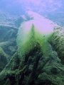 img33