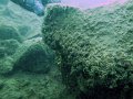 img34
