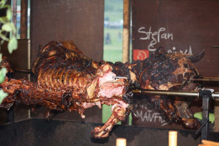 pic24.jpg