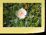 P9130052