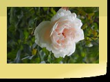 P9130053