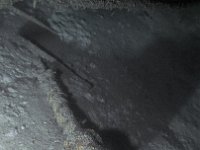 pic003