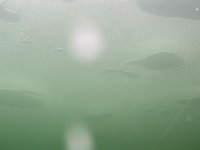 pic007