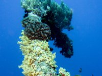 Numidia