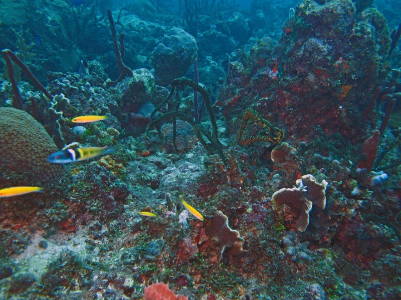 img026.jpg