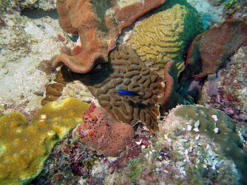 img041.jpg