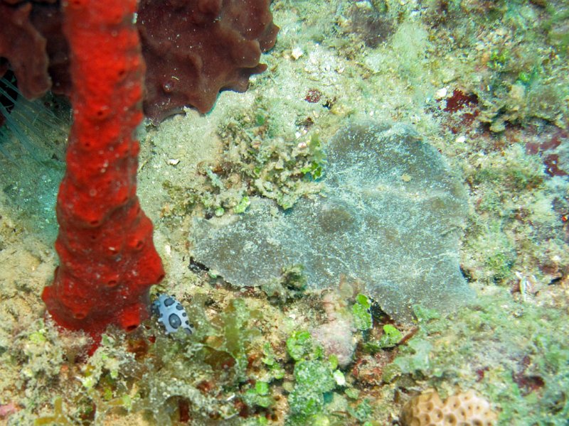 img094.jpg