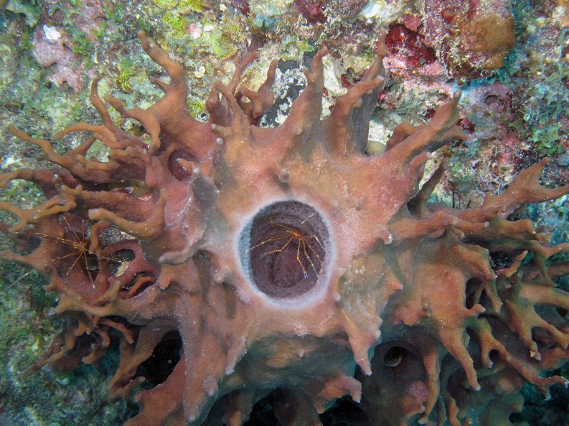 img095.jpg