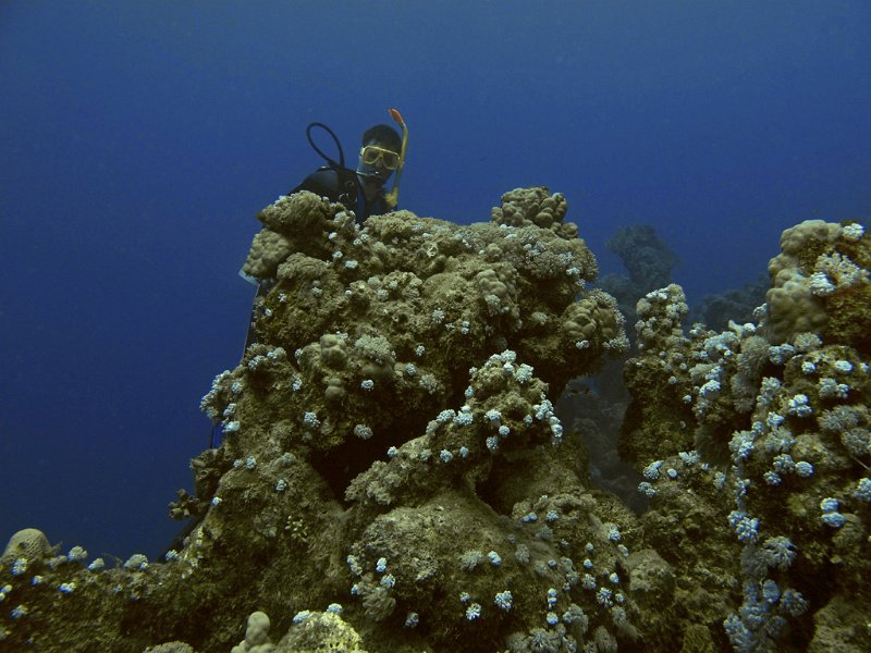 Img005.jpg