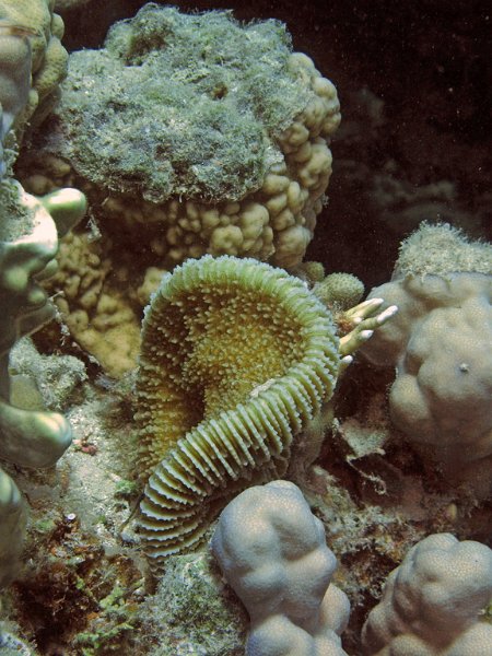 Img034.jpg