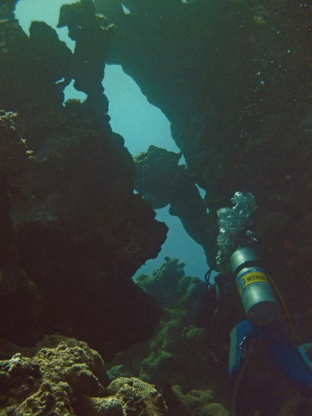 Img042.jpg