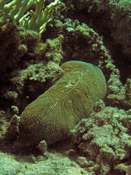 Img048.jpg