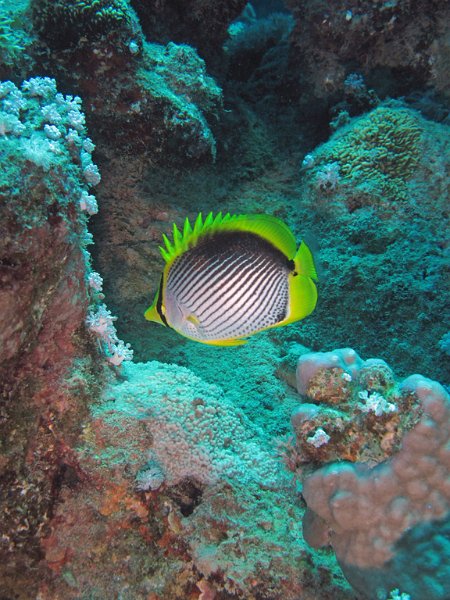 Img055.jpg