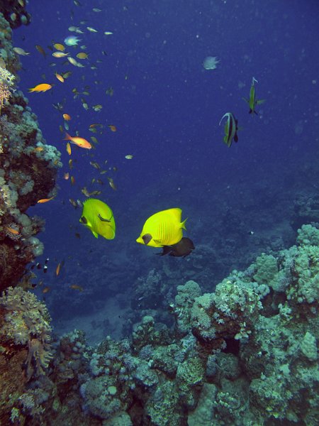 Img062.jpg