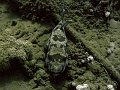 Img033