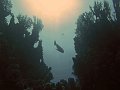 Img056