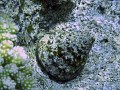 Img084
