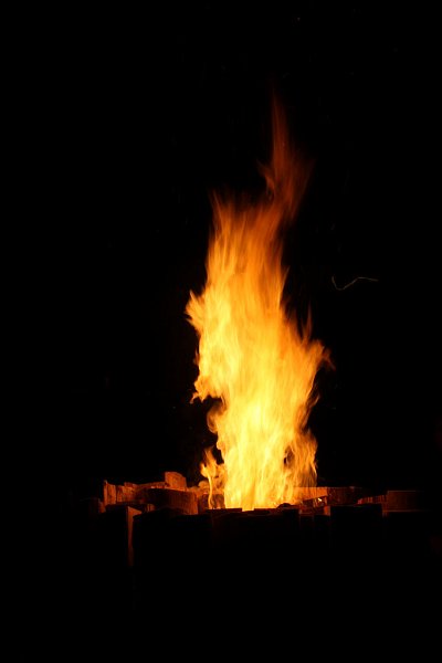 Pic57.jpg